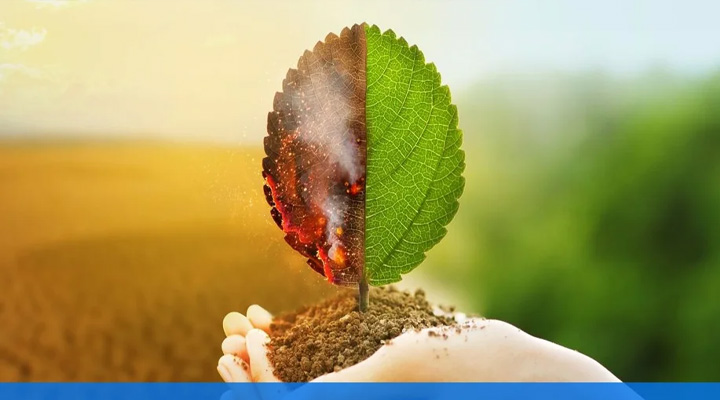 Environmental Impact Assessment ارزیابی اثرات زیستمحیطی: کلید توسعه پایدار